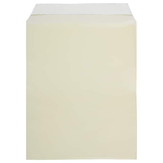 JAM Paper 8.93" x 11.25" Self Adhesive Closure Cello Sleeves